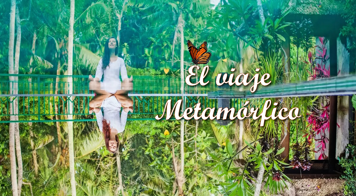 Yoga tropical